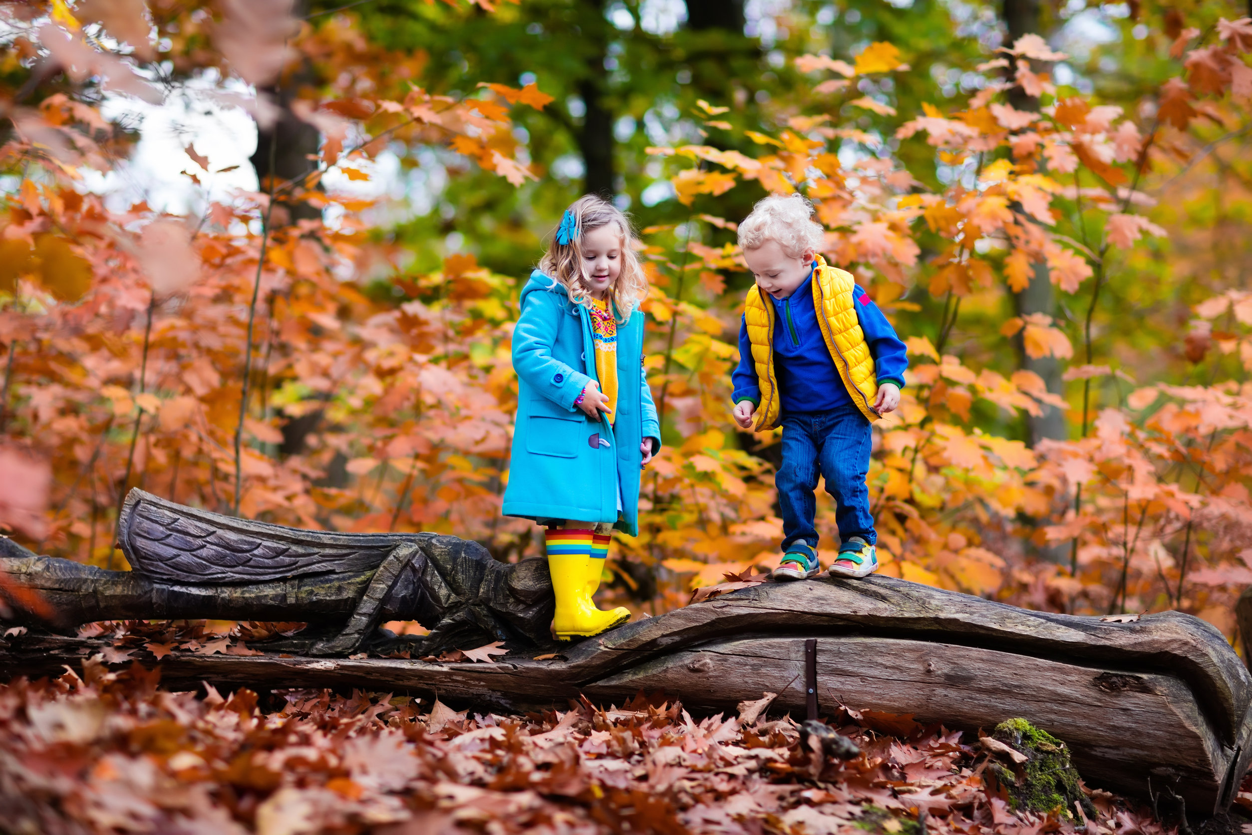 Children-playing-in-leaves