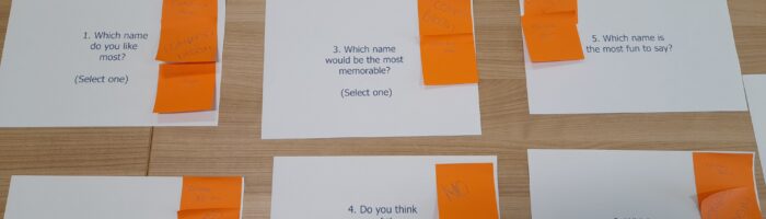 lancashire MHST naming options